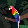 User_13273