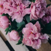 User_14230