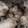User_3274