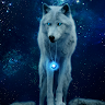User_3691