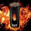 Zaur