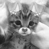 User_8269