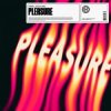 Cover HAWK - Pleasure (feat. Azooland) HAWK - Pleasure (feat. Azooland)