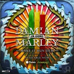 Cover Skrillex & Damian "Jr. Gong" Marley - Make It Bun Dem