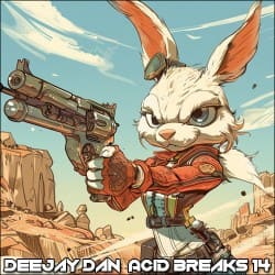 Cover Acid Breaks 14 [2024]