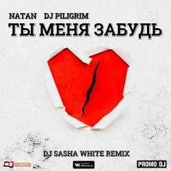 Cover Natan & DJ Piligrim - Ты Меня Забудь
