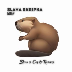 Cover Slava Skripka - Бобр (Slim x Corto Remix)