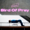 Cover Ziferblat - Bird of Pray Ziferblat - Bird of Pray