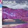 Cover Sigala - With You (feat. Ely Oaks) Sigala - With You (feat. Ely Oaks)