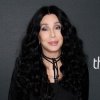 Cher - Gypsys, tramps & thieves