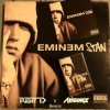 Cover Eminem feat. DIDO - Stan Eminem feat. DIDO - Stan