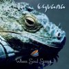 Cover Eguana - In The Forest Eguana - In The Forest