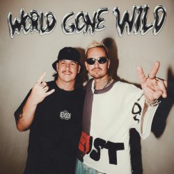 Cover Robin Schulz & Cyril - World Gone Wild (ft. Sam Martin)