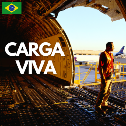 Cover Carga Viva - Maquillaje