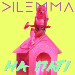 Cover Dilemma - На паті