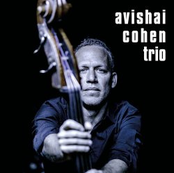 Cover Avishai Cohen - Shuffle