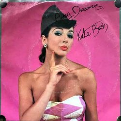 Cover Kate Bush - Army Dreams