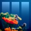 Cover Path Of Youth - Cassiopeia Path Of Youth - Cassiopeia