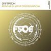 Driftmoon - Beggar In Your Own Kingdom