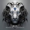 Cover Bixx - Do The Right Thing Bixx - Do The Right Thing