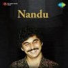 Cover Nandu - Forever In Our Favor Nandu - Forever In Our Favor