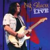 Cover Big Gilson - Cab Driver Blues Big Gilson - Cab Driver Blues