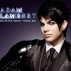 Cover Adam Lambert - Whataya Want From Me Adam Lambert - Whataya Want From Me