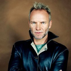 Cover Sting - Shape Of My Heart
