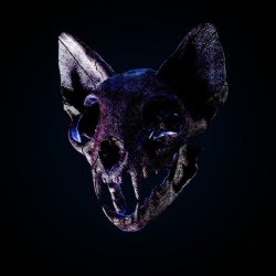 Cover Darci - Wild Horse