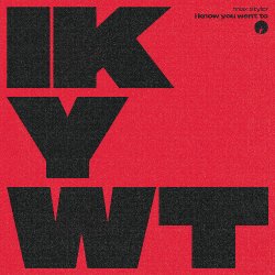 Cover Max Styler - I Know You Want To