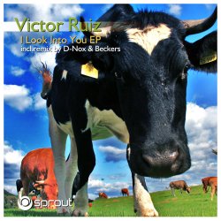 Cover Victor Ruiz - I Look Into You