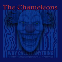 Cover The Chameleons - Indiana