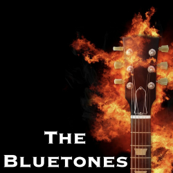 Cover The Bluetones - String Along