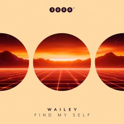 Cover Wailey - Find My Self (Original Mix)