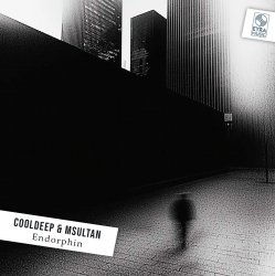 Cover CoolDeep & MSultan - Endorphin (Original Mix)