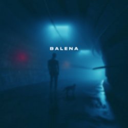 Cover skyfall beats - balena