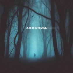 Cover skyfall beats, silent anthem - arcanum