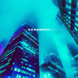 Cover skyfall beats - serenity