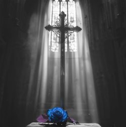 Cover Ava Max - Lost Your Faith (SONIKKU Remix)