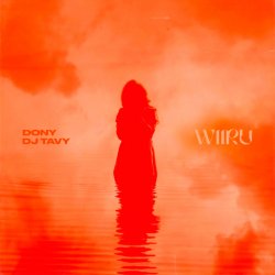 Cover Dony & DJ TAVY - WIIRU