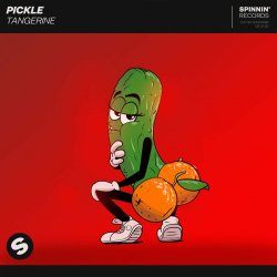 Cover Pickle - Journey