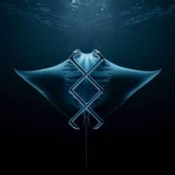 Cover KREAM - Manta