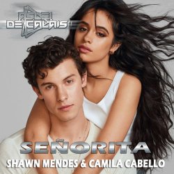 Cover Shawn Mendes & Camila Cabello - Senorita