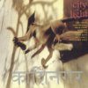 Cover Bill Laswell - Scratch Code Bill Laswell - Scratch Code
