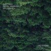 Cover Bill Laswell - Outer Woo Bill Laswell - Outer Woo