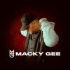 Cover Macky Gee & Bizarre - Revenge Macky Gee & Bizarre - Revenge