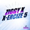 Cover Ziggy X - Vikinx Ziggy X - Vikinx