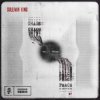 Cover Sullivan King - CHAOS WILL BRING PEACE Sullivan King - CHAOS WILL BRING PEACE