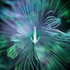 Cover CamelPhat feat. Monolink & Innellea - Shelter CamelPhat feat. Monolink & Innellea - Shelter