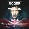 Cover Roger Waters - Comfortably Numb Roger Waters - Comfortably Numb